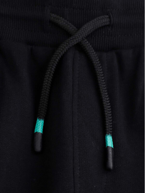 Coccodrillo Coccodrillo Спортивні шорти WC5120503TBJ Чорний Regular Fit