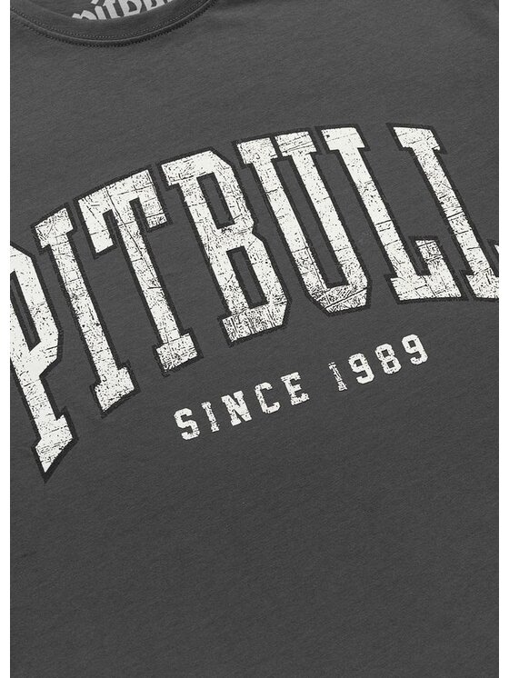 PITBULL PITBULL T-Shirt NORTON Szary Regular Fit