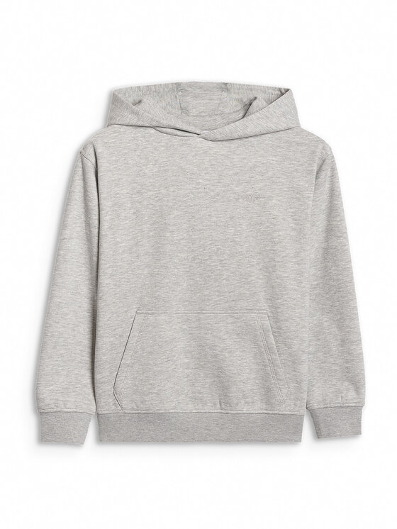 4F 4F Bluza BASIC+ Szary Loose Fit