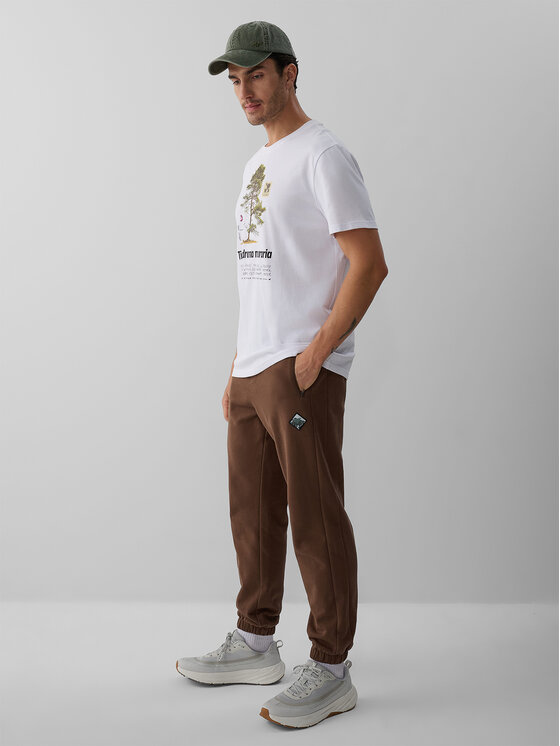 4F 4F Spodnie dresowe OVERLAND Brązowy Regular Fit