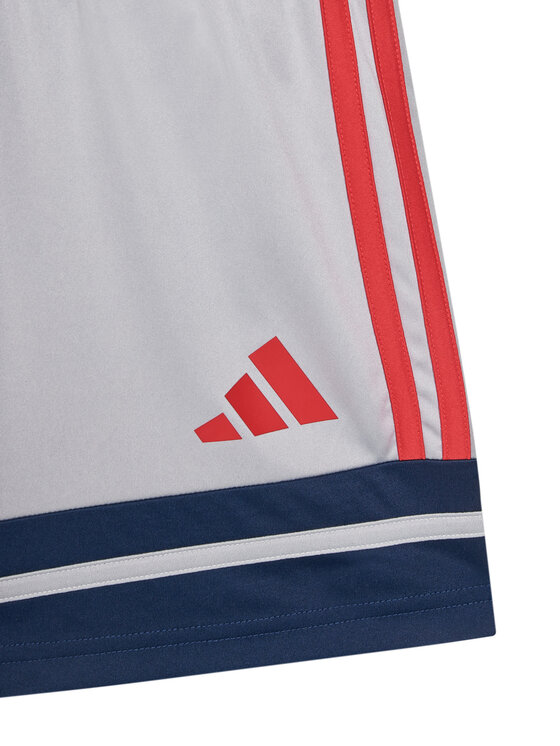 adidas adidas Sportiniai šortai Squadra 25 JP3416 Pilka Regular Fit
