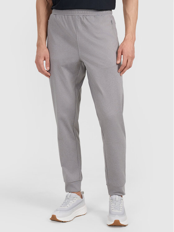 4F 4F Teplákové nohavice MULTI ACTIVE Sivá Regular Fit