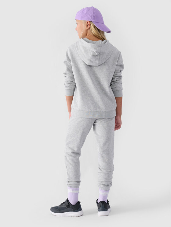 4F 4F Spodnie dresowe NOS Szary jasny Regular Fit