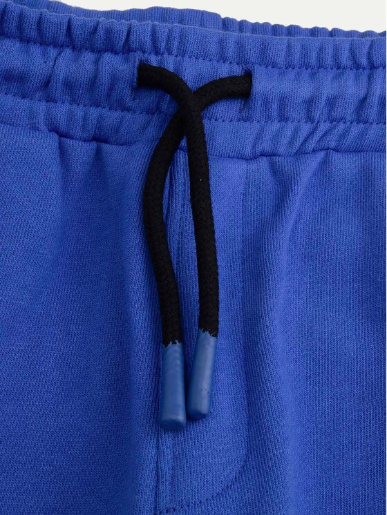 Coccodrillo Coccodrillo Долнище анцуг WC5120102MBJ Син Regular Fit