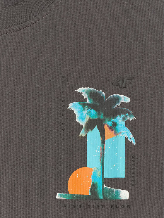 4F 4F T-Shirt CATCH THE WAVE Szary ciemny Regular Fit