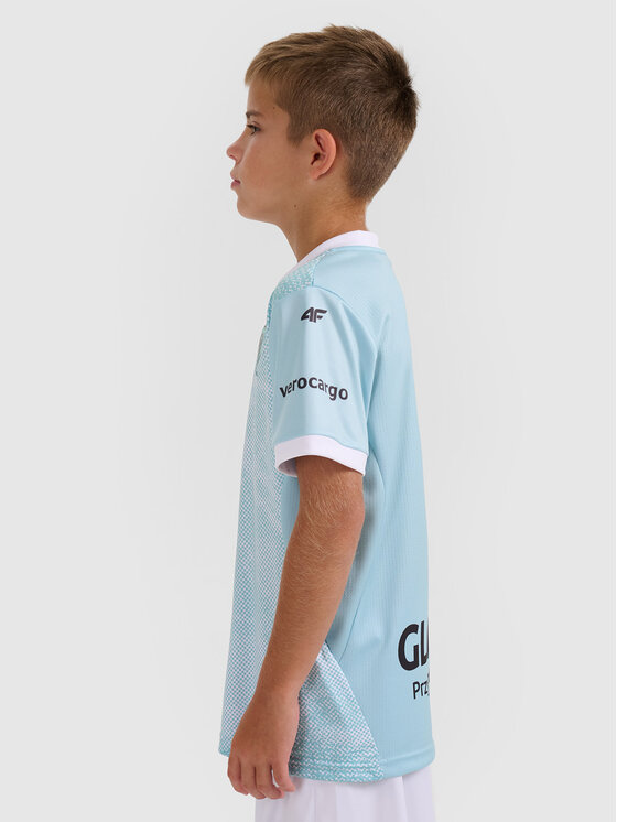 4F 4F Koszulka techniczna TEAMWEAR Kolorowy Regular Fit