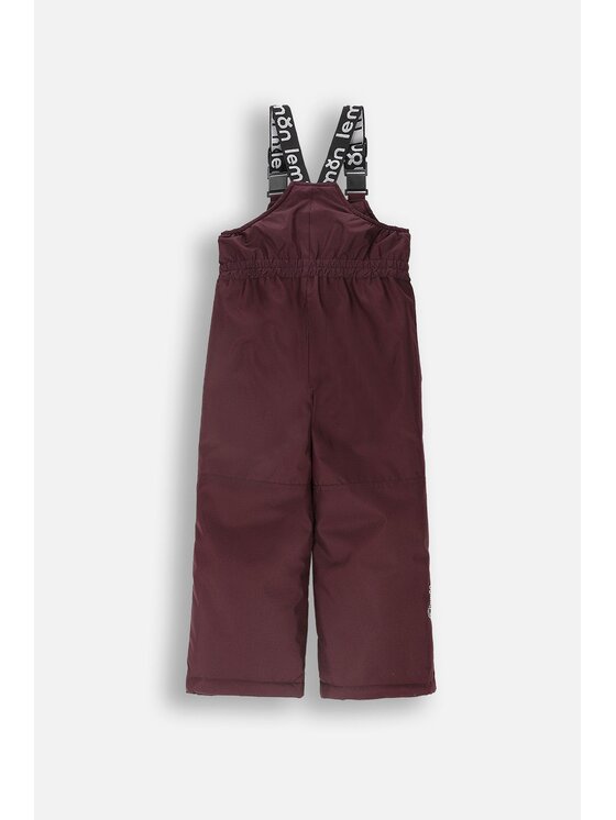 Lemon Explore Lemon Explore Spodnie narciarskie ZL4119202OSG-016 Fioletowy Regular Fit