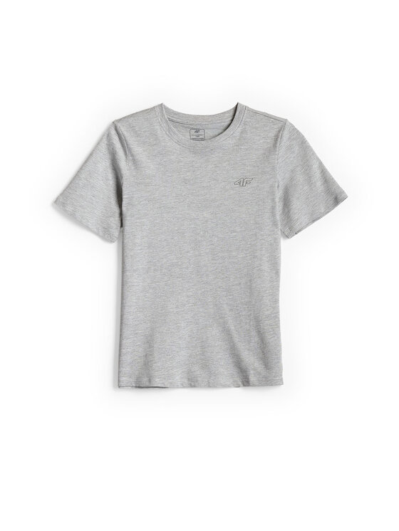 4F 4F T-Shirt BASIC+ Szary Regular Fit