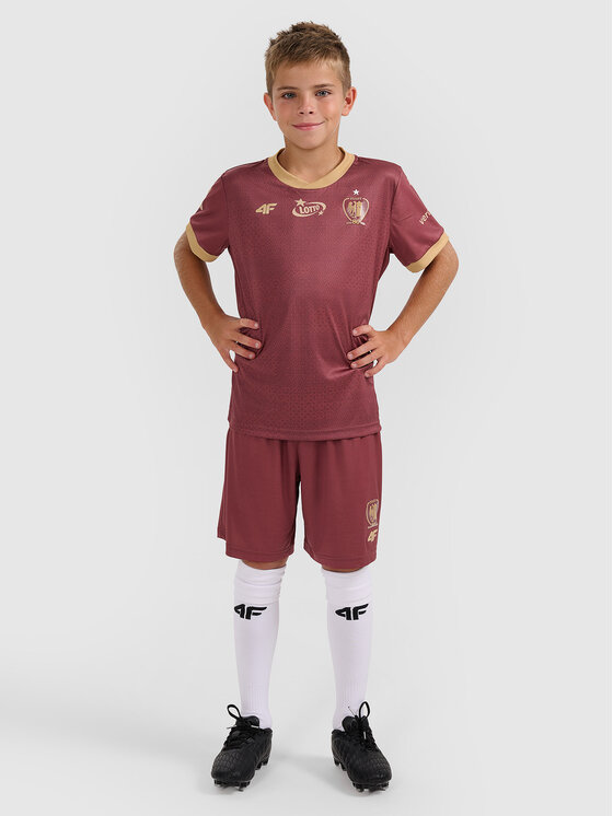 4F 4F Koszulka techniczna TEAMWEAR Kolorowy Regular Fit