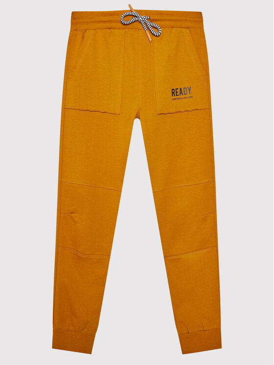 Pantaloni da tuta ZC1120111EVB Arancione Regular
