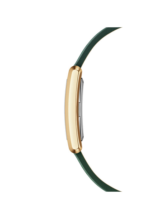 Daniel Wellington Daniel Wellington Laikrodis Bound Crocodile DW00100695 Žalia