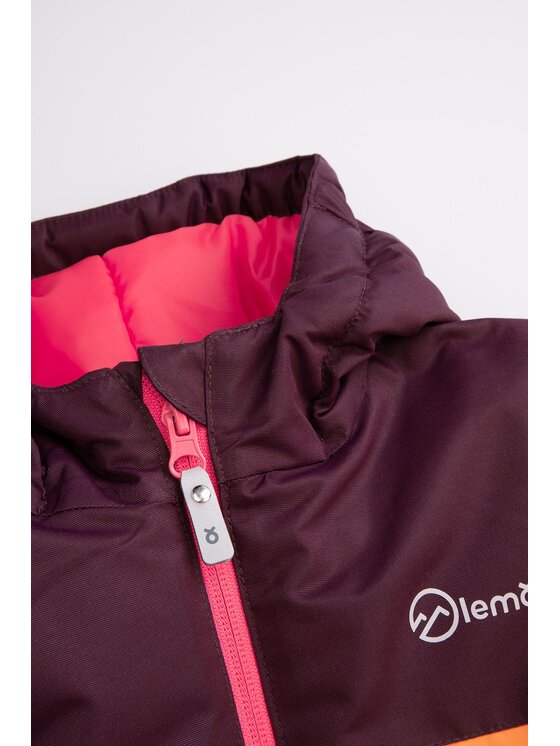 Lemon Explore Lemon Explore Kurtka narciarska ZL4152105OSG-022 Kolorowy Regular Fit