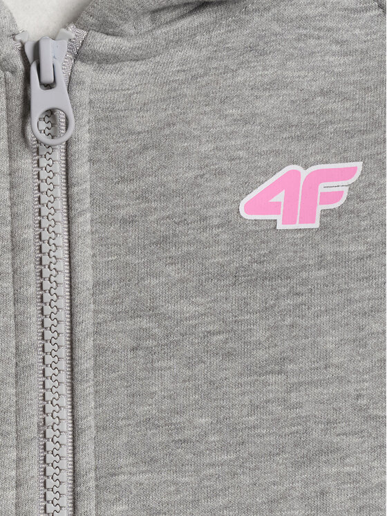 4F 4F Bluza MOVE OUTSIDE Szary Regular Fit