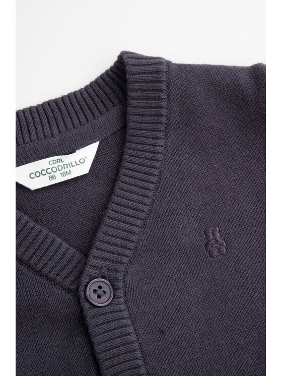 Coccodrillo Coccodrillo Sweter ZC5172201EBB-015 Granatowy Regular Fit