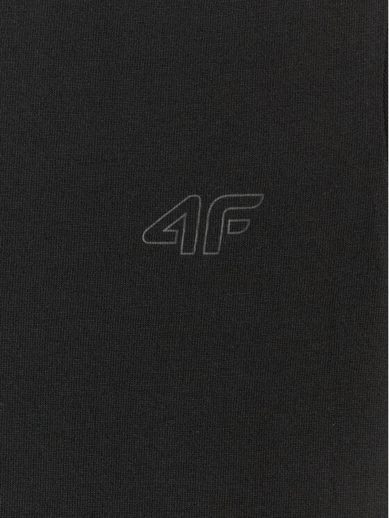 4F 4F T-Shirt BASIC+ Czarny Regular Fit
