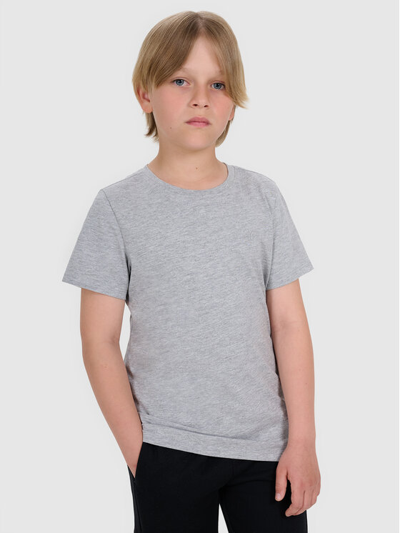4F 4F T-Shirt BASIC+ Szary Regular Fit