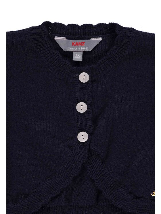 Kanz Kanz Sweter 1842887-3000 Niebieski Basic Fit