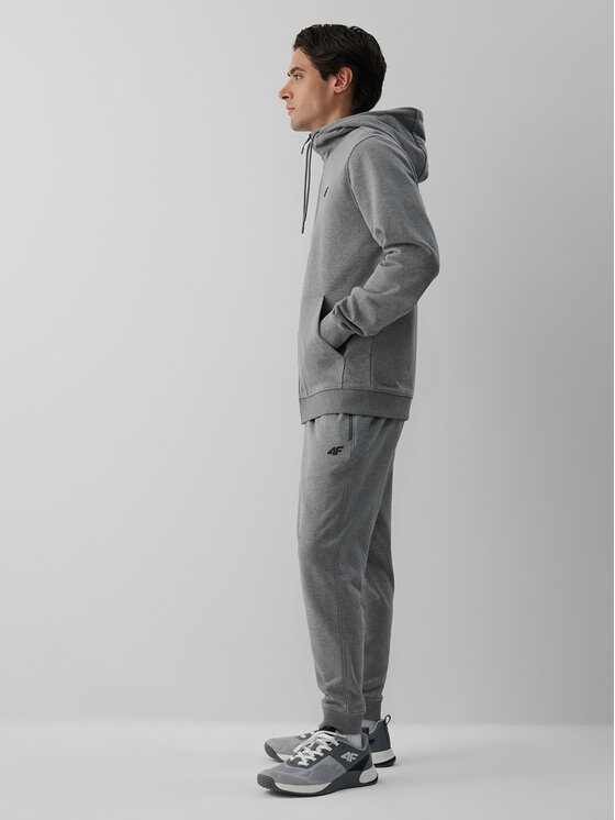 4F 4F Spodnie dresowe BASIC+ Szary Regular Fit