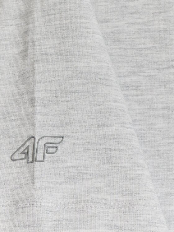 4F 4F T-Shirt NOS Ανοιχτό γκρι Regular Fit