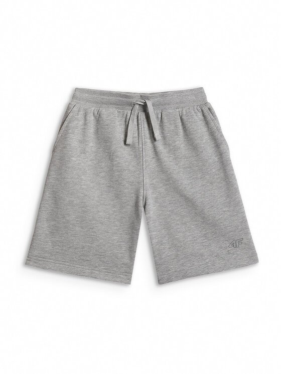 4F 4F Szorty sportowe BASIC+ Szary Regular Fit