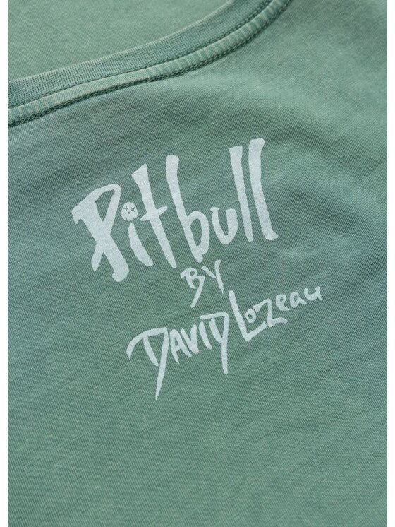 PITBULL PITBULL T-Shirt CRUISINANDBOOZIN Zielony Regular Fit