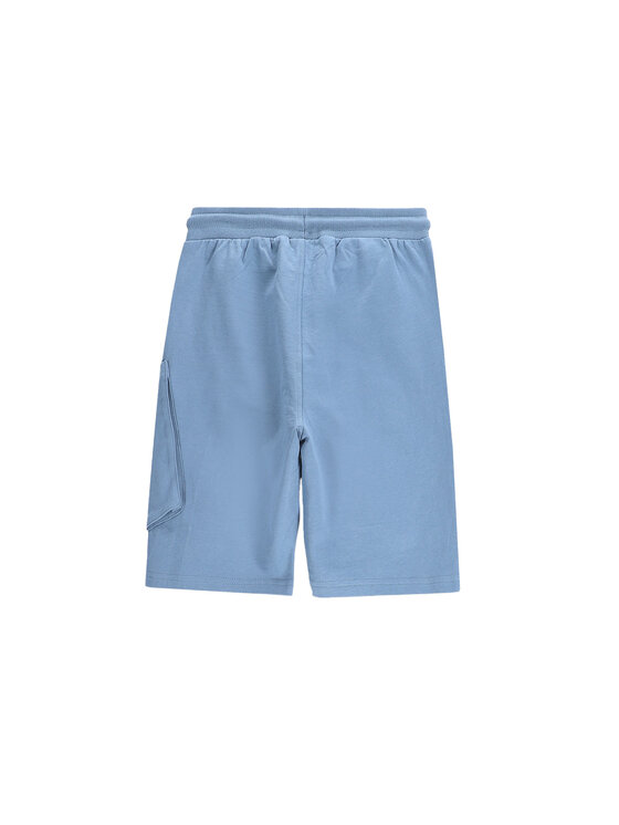 Coccodrillo Coccodrillo Sporta šorti WC5120501VBC Zils Regular Fit