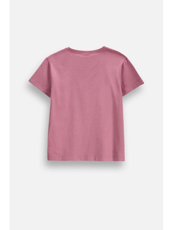 Coccodrillo Coccodrillo T-Shirt ZC6143219VGA-007 Różowy Regular Fit