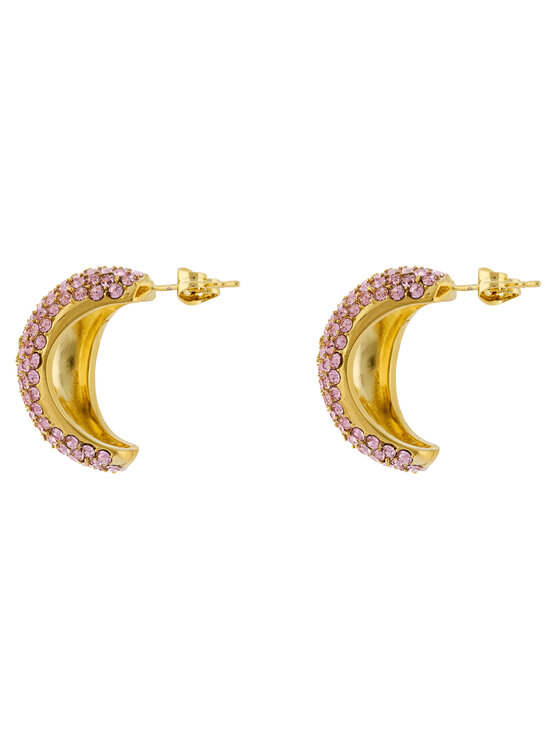 Elisabetta Franchi Elisabetta Franchi Обици OR-44M-51E2-V250 Розов