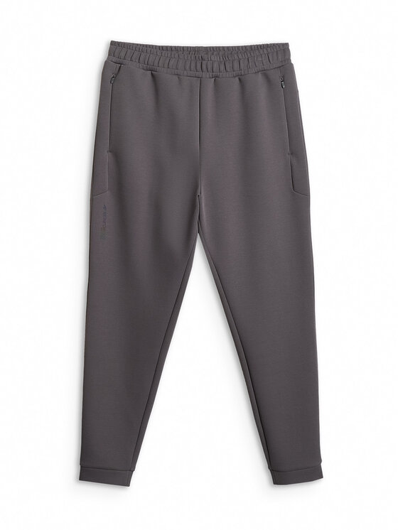4F 4F Spodnie dresowe IN MOTION Szary Regular Fit