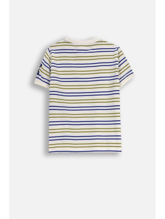 Coccodrillo Coccodrillo T-Shirt ZC5143201ABK-022 Barevná Regular Fit