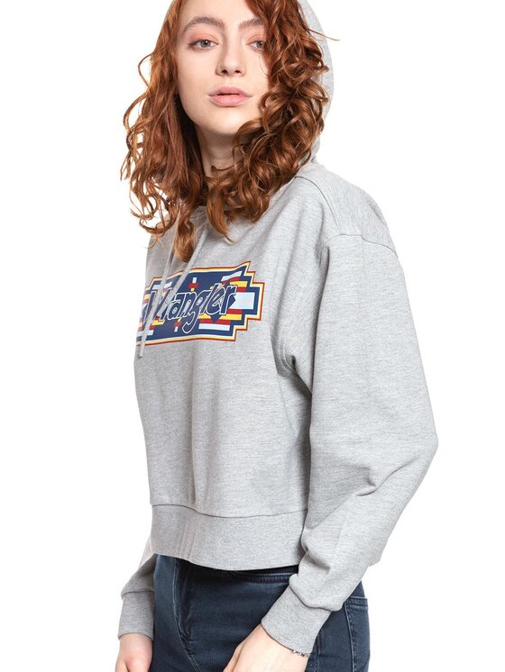 Wrangler Wrangler Bluza GEO HOODIE Szary Regular Fit
