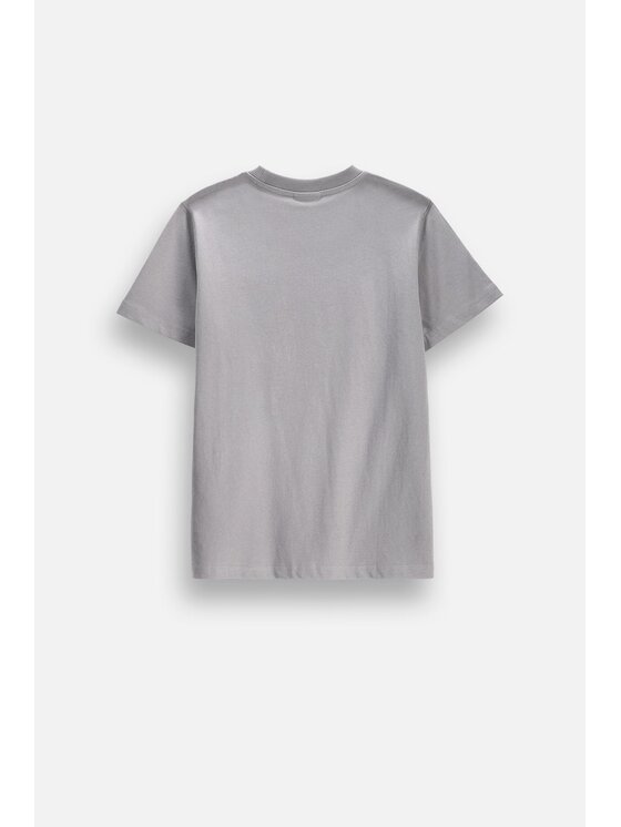 Coccodrillo Coccodrillo T-Shirt ZC6143214VBA-019 Szary Regular Fit
