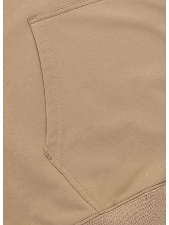 PITBULL PITBULL Bluza Bluza męska z kapturem TAPE NUGGET S Beżowy Regular Fit