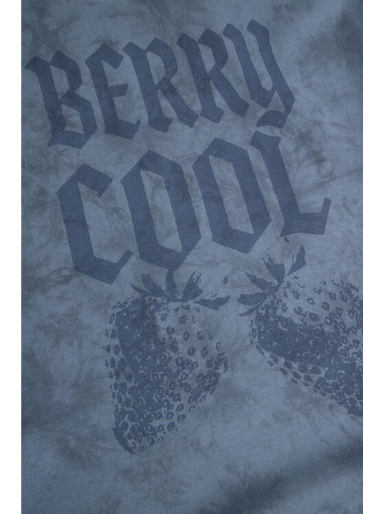 Coccodrillo Coccodrillo T-Shirt ZC6143202TGJ-014 Niebieski Regular Fit