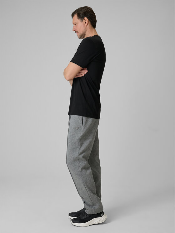 4F 4F Spodnie dresowe SPORT STORIES 25/26 Szary Regular Fit