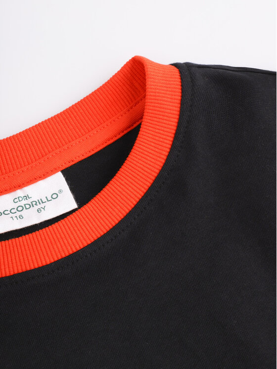 Coccodrillo Coccodrillo Blusa ZC4143103GBK Multicolore Regular Fit