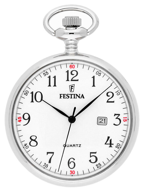 Festina Festina Hodinky F2019/1 Strieborná