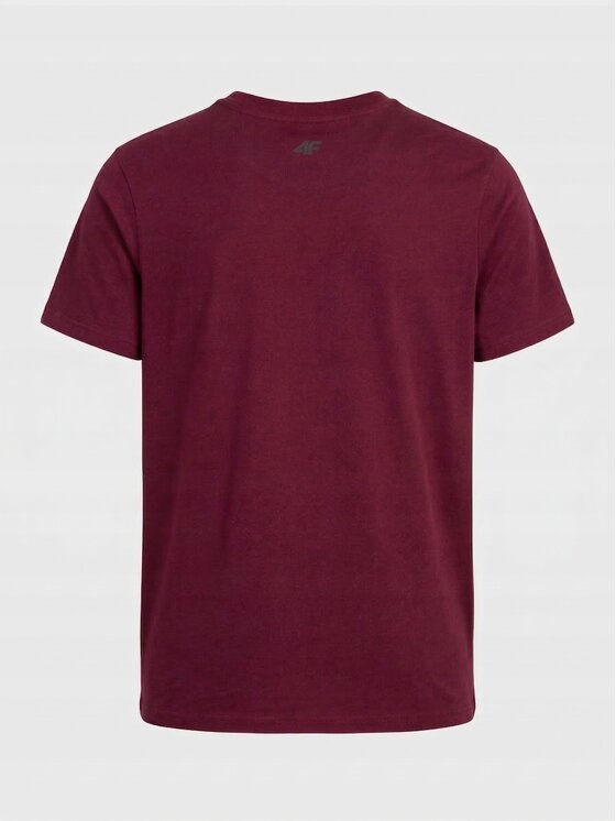 4F 4F T-Shirt Z-TTSHM3947-3-C Biały Regular Fit