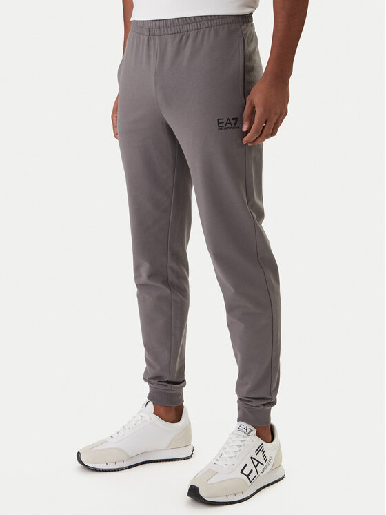 EA7 Emporio Armani EA7 Emporio Armani Sporta bikses 8NPP66 PJVRZ Pelēks Regular Fit