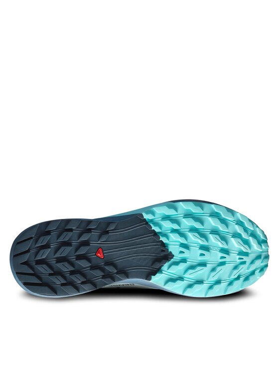 Salomon Salomon Buty do biegania Sense Ride 5 Gore-Tex L47147400 Szary