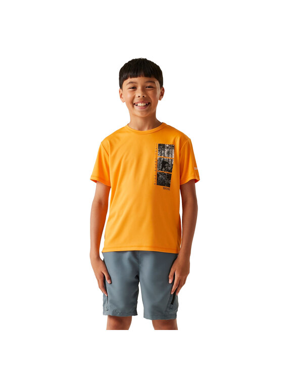Regatta Regatta T-Shirt Alvarado IX Złoty Short Fit