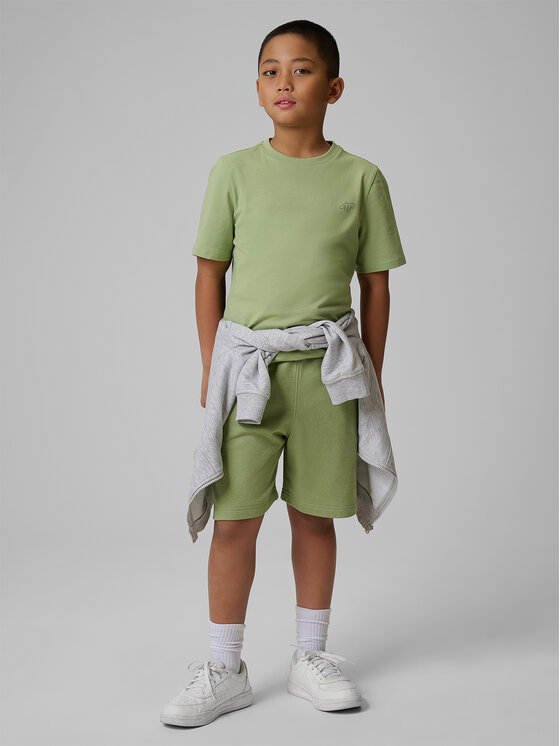 4F 4F T-Shirt BASIC+ Turkusowy Regular Fit