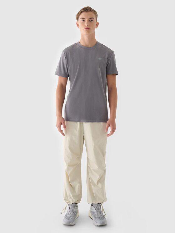 4F 4F T-Shirt 4FWMM00TTSHM2256-25S Szary Regular Fit