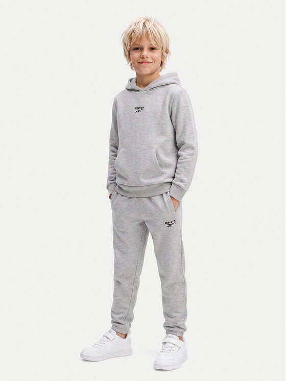 Reebok Спортен екип RK95228CCB Сив Regular Fit
