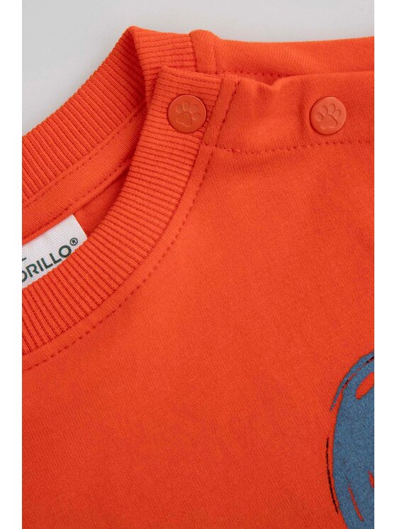 Coccodrillo Coccodrillo Mikina ZC5143103BBN-009 Červená Regular Fit