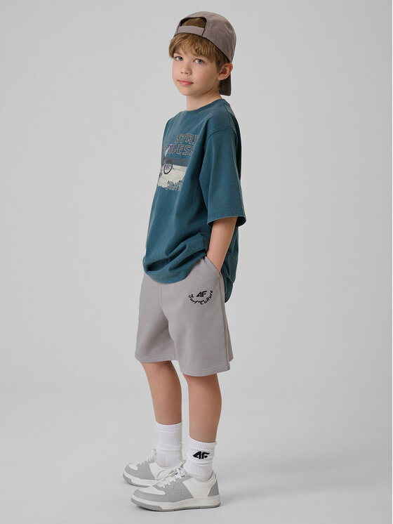 4F 4F Szorty sportowe SKATE & RIDE Szary jasny Regular Fit