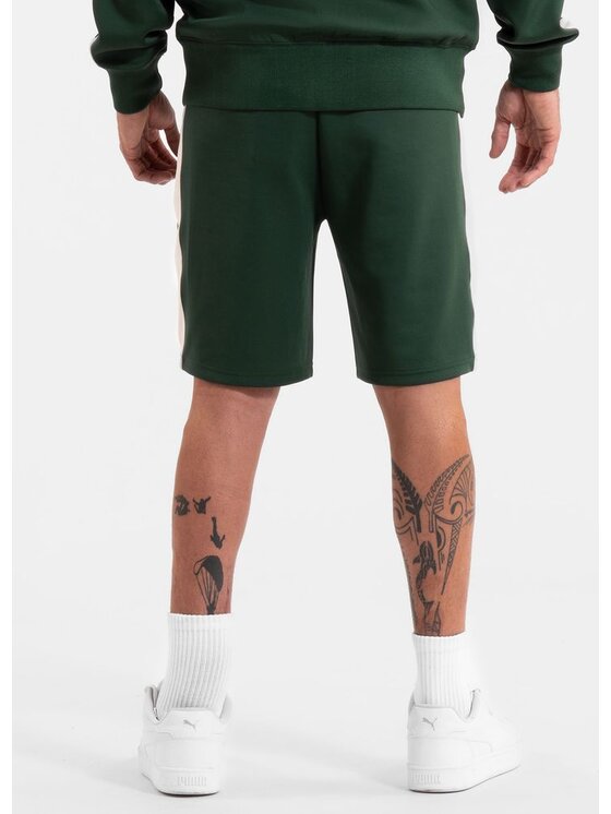PITBULL PITBULL Szorty materiałowe Szorty dresowe Oldschool SAN DIEGO CA XL Zielony Regular Fit
