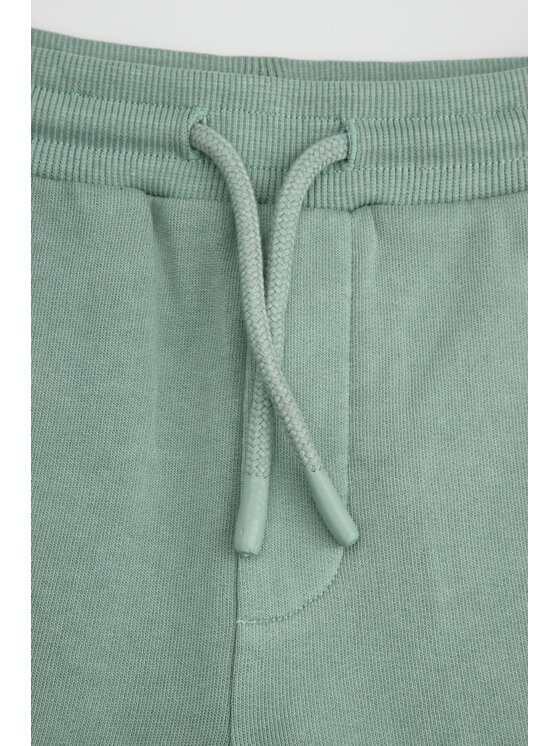 Coccodrillo Coccodrillo Šortky z materiálu WC6120502TBK-011 Zelená Regular Fit