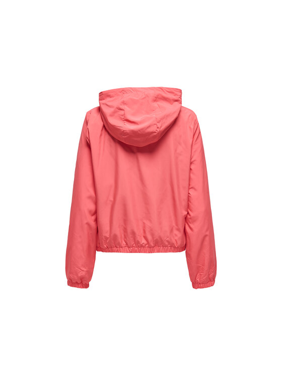 ONLY ONLY Giubbotto invernale 15319747-DUB Marrone Regular Fit