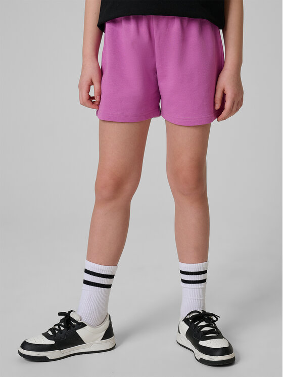 4F 4F Szorty sportowe JELLIFICATION Fioletowy Regular Fit